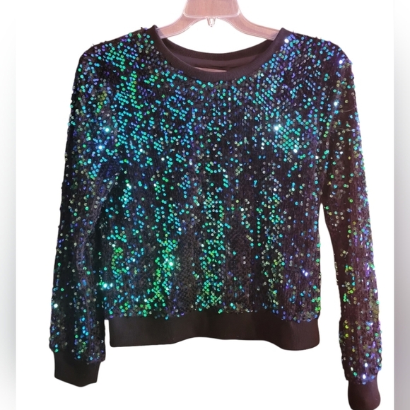 Anthro by Anthroplogie Velvet Sweatshirt with blue and green sequins. Sz Medium - Picture 1 of 4